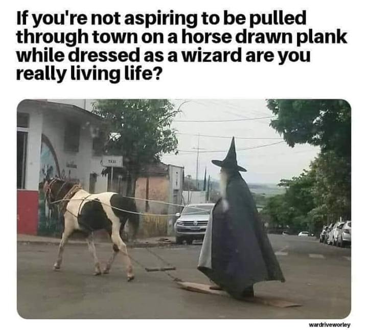 The meme features a picture of a wizard riding a horse, but instead of a traditional horse, the horse is a large, white and black spotted cow. The cow is being ridden by a wizard, who is wearing a pointed hat and a long, flowing cloak. The text at the top of the image reads: "If you're not living on a horse drawn plow, you're not living."